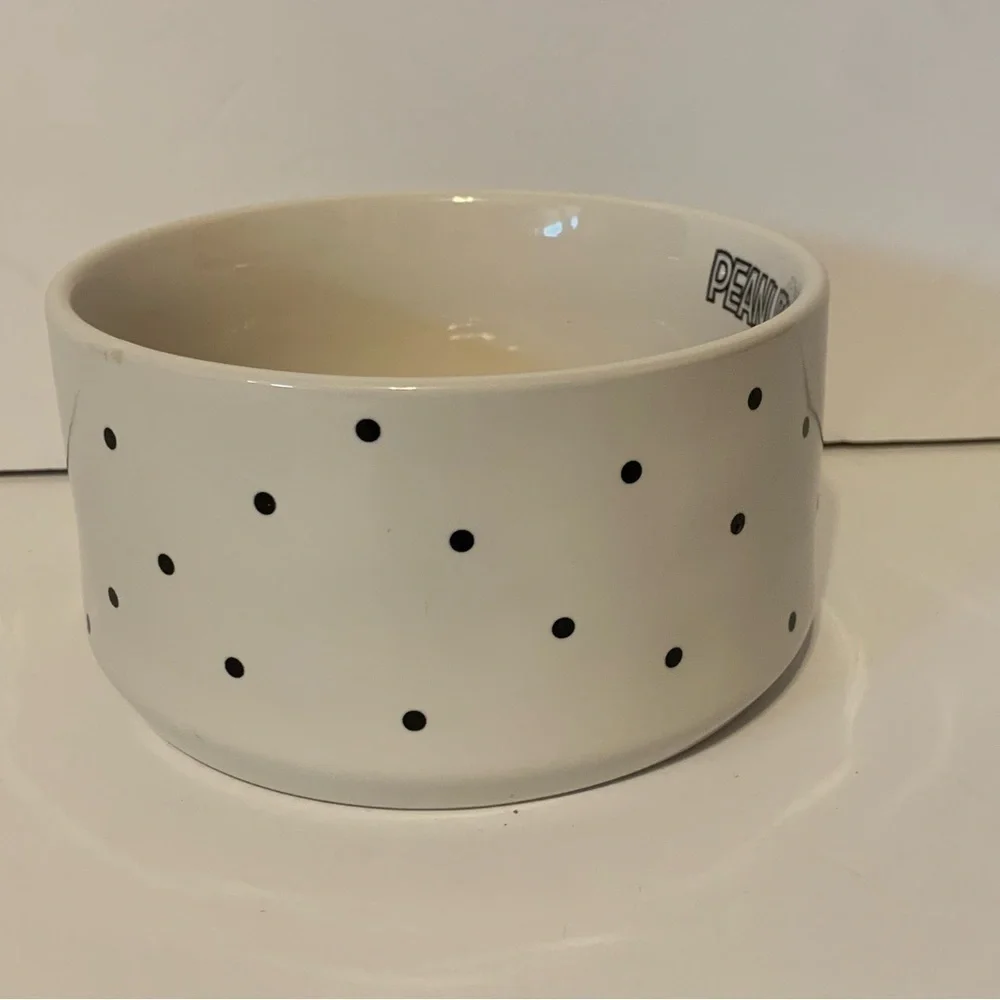NWT. RAE DUNN X PEANUTS Snoopy Spooktacular Candy Bowl/Pet